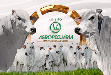 LEILÃO VL AGROPECUÁRIA - GENÉTICA DE RESULTADOS